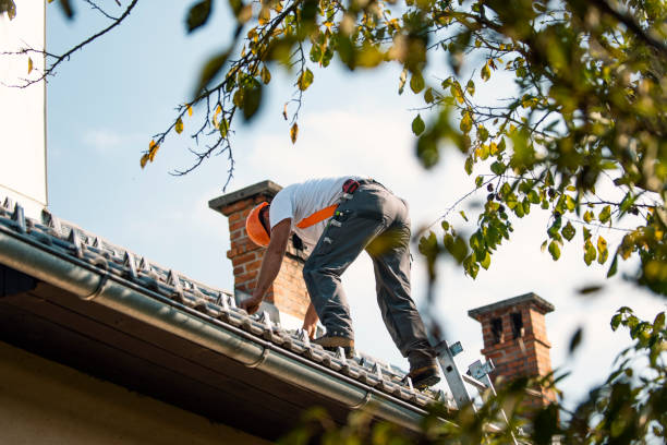 Best Sheet Metal Roofing  in Hartford, MI