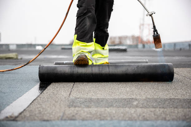Best Roof Insulation Installation  in Hartford, MI